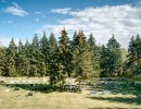 calmar rus cem