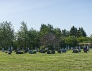 chipman1