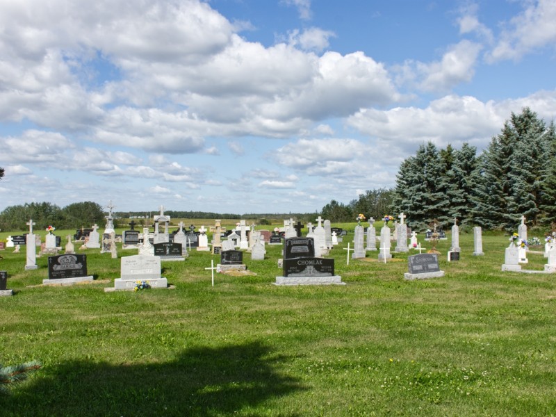 stmich